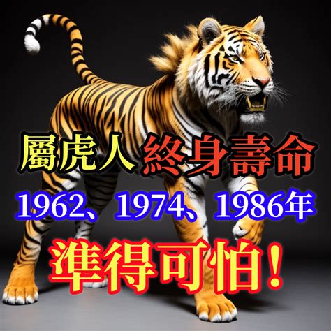 爐中火虎|【爐中火命虎】1986年爐中火命屬虎命理大公開！富貴由天定？